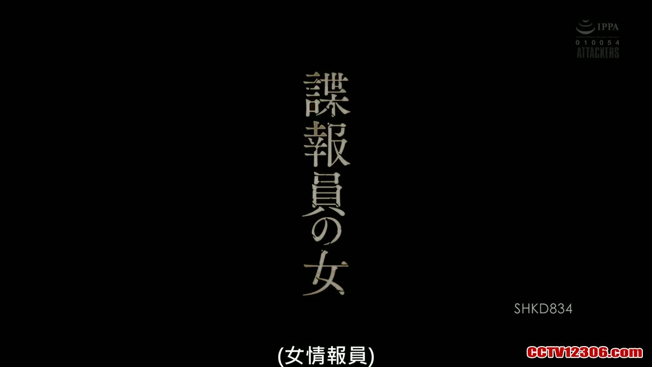 SHKD834中文字幕纯净版波多野結衣諜報員の女